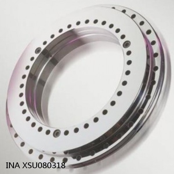 XSU080318 INA Slewing Ring Bearings