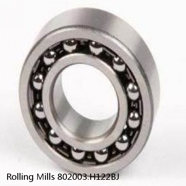 802003.H122BJ Rolling Mills Sealed spherical roller bearings continuous casting plants