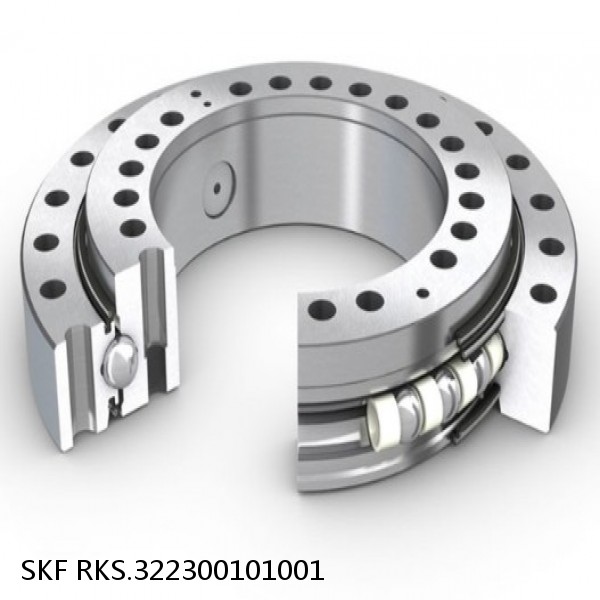 RKS.322300101001 SKF Slewing Ring Bearings