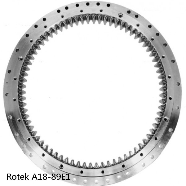 A18-89E1 Rotek Slewing Ring Bearings #1 small image