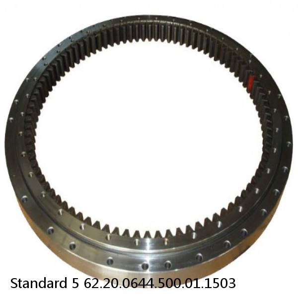 62.20.0644.500.01.1503 Standard 5 Slewing Ring Bearings #1 small image