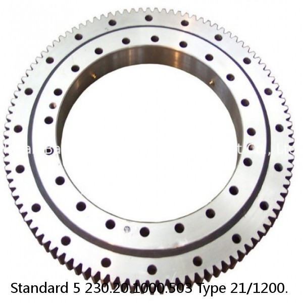 230.20.1000.503 Type 21/1200. Standard 5 Slewing Ring Bearings