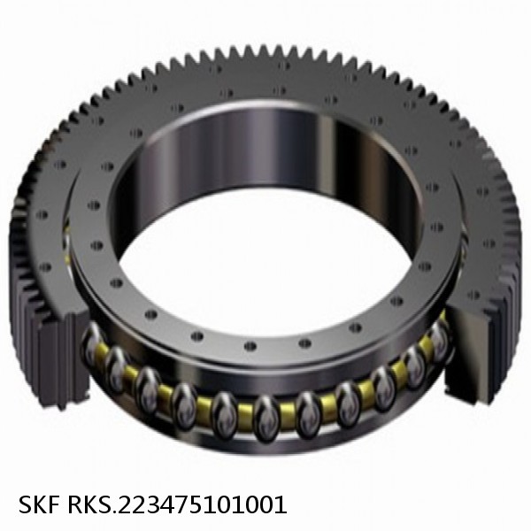 RKS.223475101001 SKF Slewing Ring Bearings #1 image