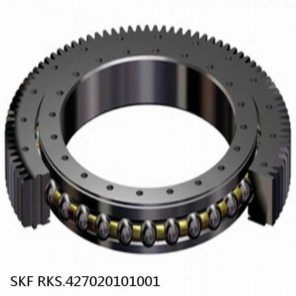 RKS.427020101001 SKF Slewing Ring Bearings #1 image