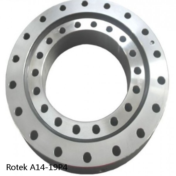 A14-19P4 Rotek Slewing Ring Bearings #1 image