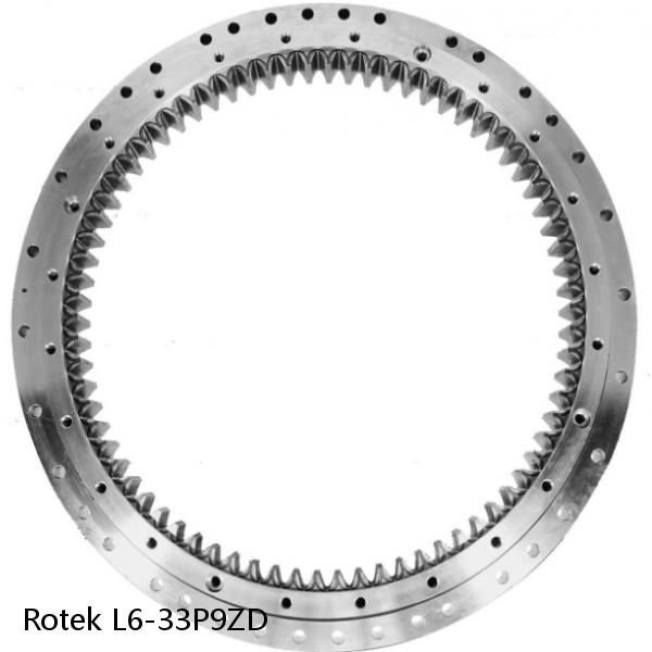 L6-33P9ZD Rotek Slewing Ring Bearings #1 image