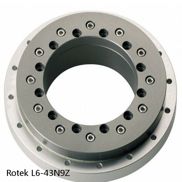 L6-43N9Z Rotek Slewing Ring Bearings #1 image