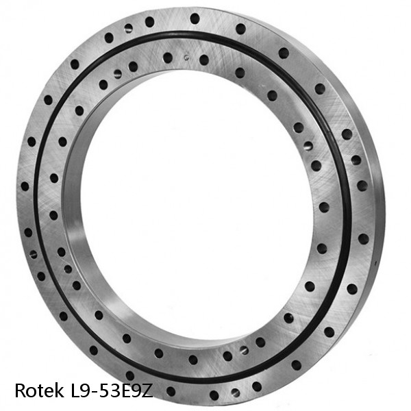 L9-53E9Z Rotek Slewing Ring Bearings #1 image