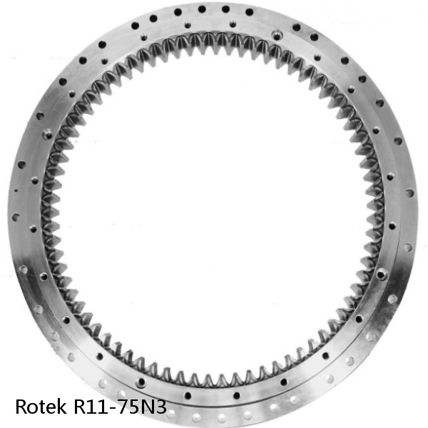 R11-75N3 Rotek Slewing Ring Bearings #1 image