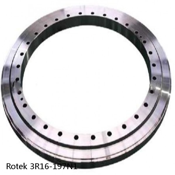 3R16-197N1 Rotek Slewing Ring Bearings #1 image