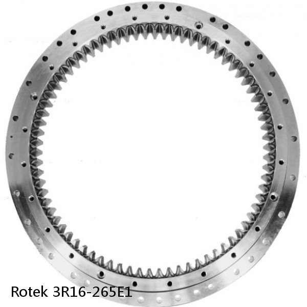 3R16-265E1 Rotek Slewing Ring Bearings #1 image