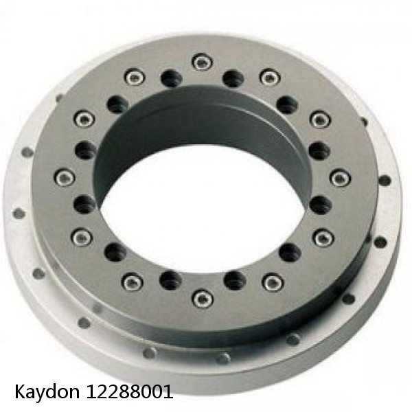 12288001 Kaydon Slewing Ring Bearings #1 image