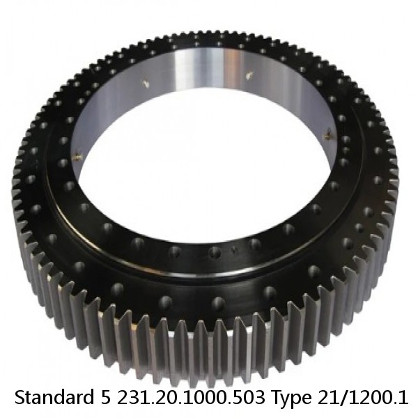 231.20.1000.503 Type 21/1200.1 Standard 5 Slewing Ring Bearings #1 image