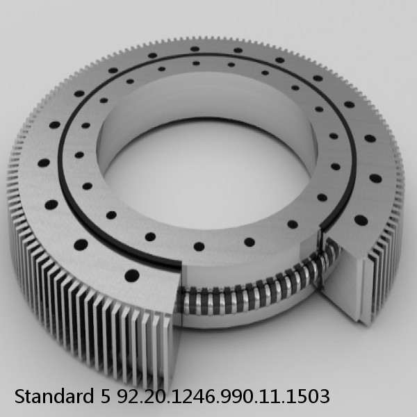 92.20.1246.990.11.1503 Standard 5 Slewing Ring Bearings #1 image