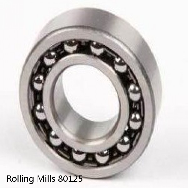 80125 Rolling Mills Sealed spherical roller bearings continuous casting plants #1 image